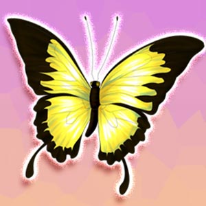 Profile picture of Ageha